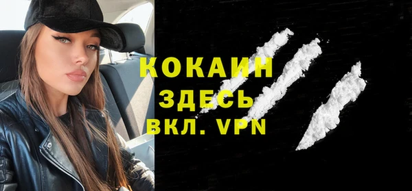 индика Беломорск