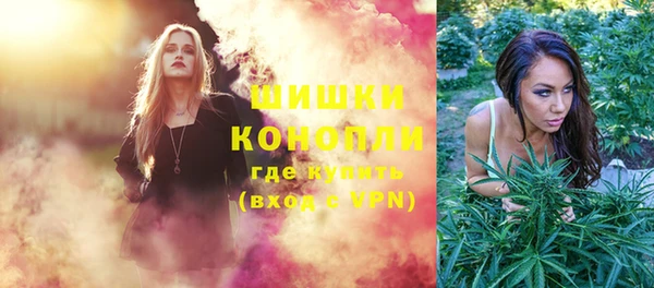 индика Беломорск
