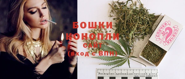 индика Беломорск