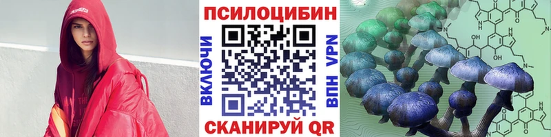 Псилоцибиновые грибы ЛСД  даркнет какой сайт  Красный Кут 